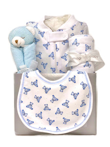Baby Boy Teddy Bear Basket Bundle Small