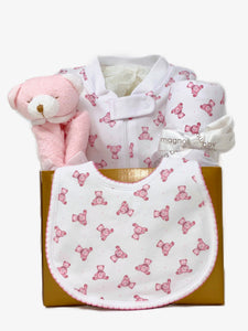 Baby Girl Teddy Bear Basket Bundle Small