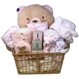 Baby Girl Teddy Bear Basket Bundle Large
