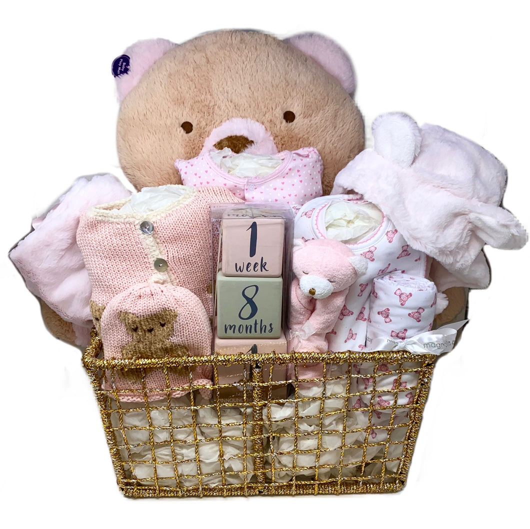 Baby Girl Teddy Bear Basket Bundle Large