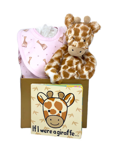 Baby Girl Giraffe Basket Bundle Small