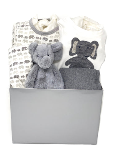 Gender Neutral Elephant Baby Bundle Basket Medium