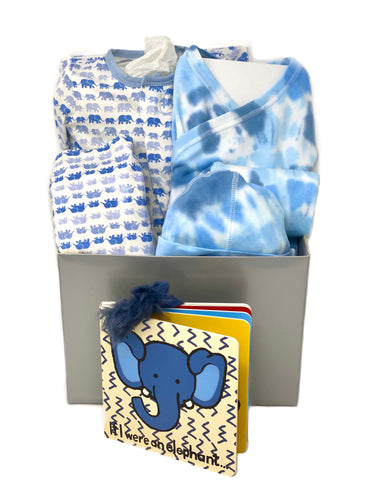 Baby Boy Elephant Basket Bundle Medium