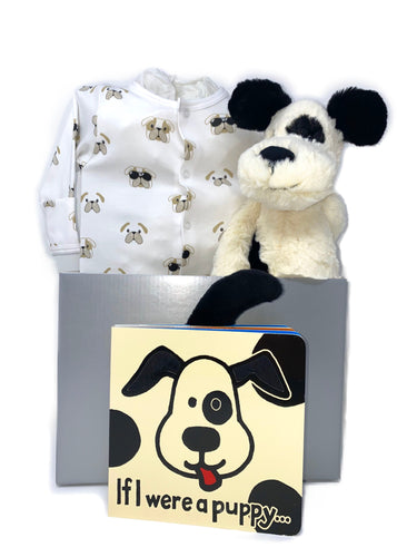 Baby Boy Dog Basket Bundle Small