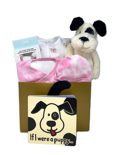 Baby Girl Dog Basket Bundle Medium
