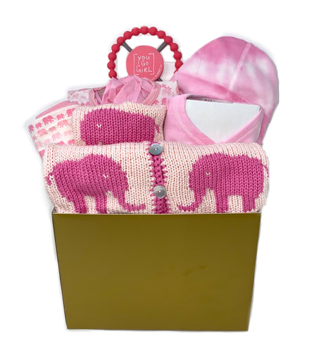 Baby Girl Elephant Basket Bundle Large